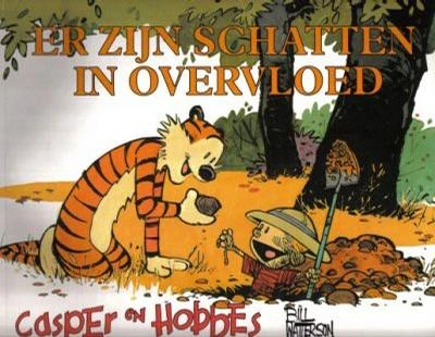 Cover of Er Zijn Schatten in Overvloed