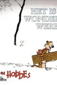 Het Is een Wonderlijke Wereld