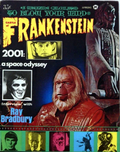 Cover of Issue #13