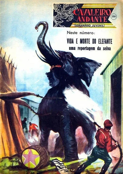 Cover of Vida e Morte do Elefante