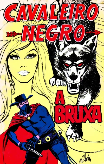 Cover of A bruxa