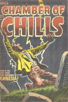 Issue #17