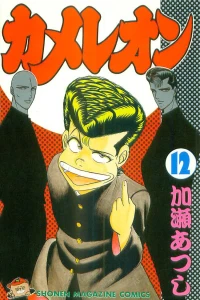 Vol. 12