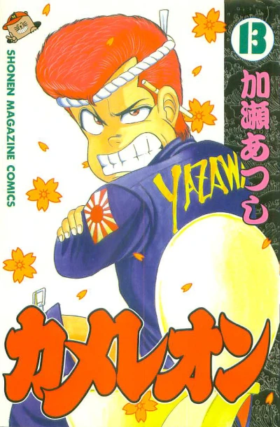 Cover of Vol. 13