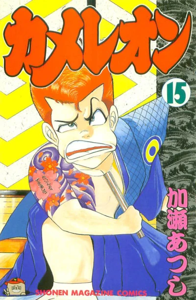 Cover of Vol. 15