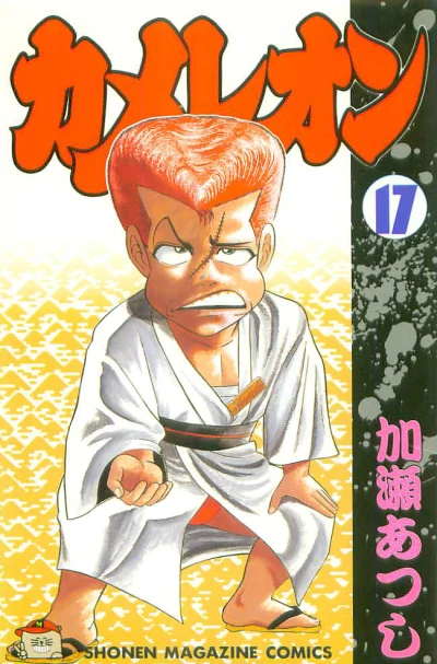 Cover of Vol. 17