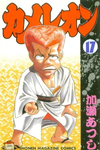 Vol. 17