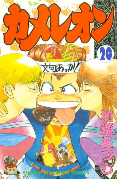 Cover of Vol. 20