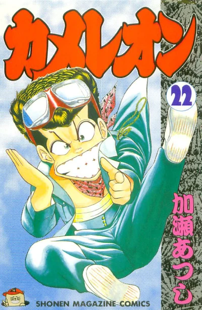 Cover of Vol. 22