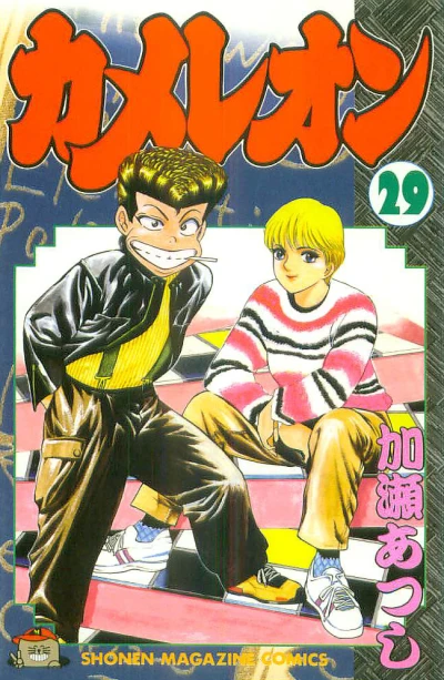 Cover of Vol. 29