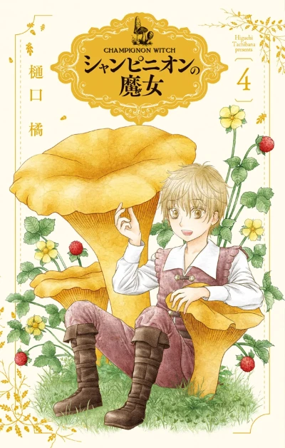 Cover of Vol. 4
