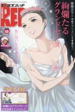Issue #202411
