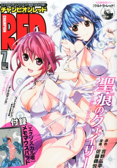 Cover of Volume #201307