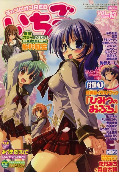 Cover of Vol. 13