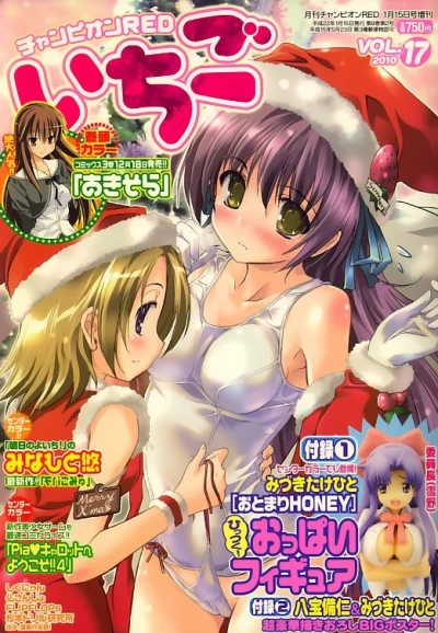 Cover of Vol. 17