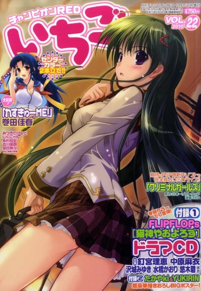 Cover of Vol. 22