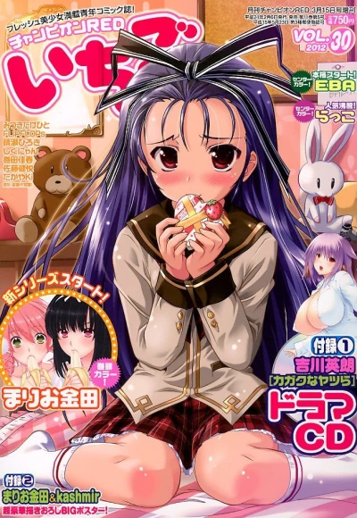 Cover of Vol. 30