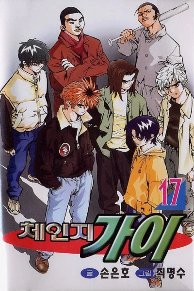 Cover of Vol. 17