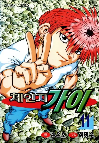 Cover of Vol. 11