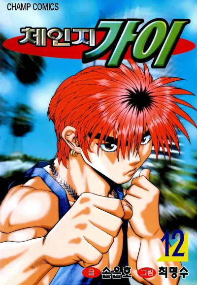 Cover of Vol. 12