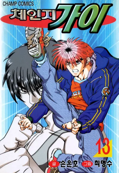Cover of Vol. 13