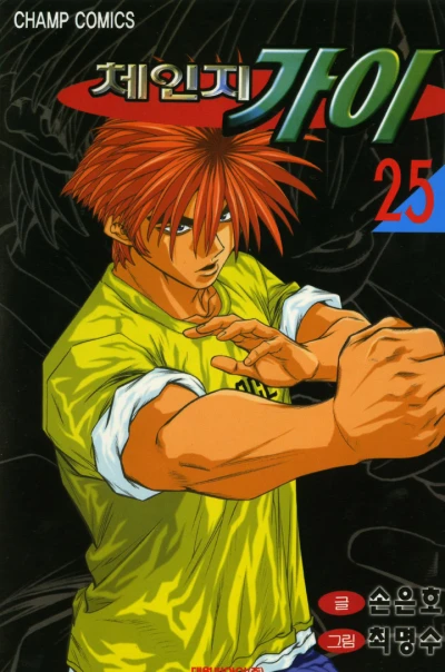 Cover of Vol. 25