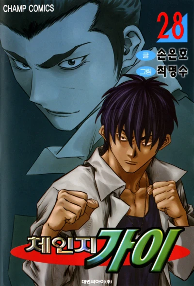 Cover of Vol. 28