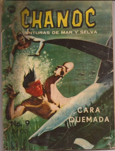 Cover of Cara quemada