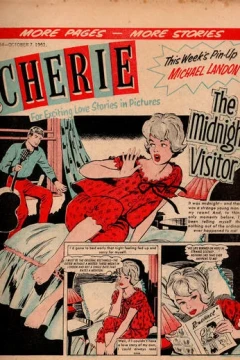 The Midnight Visitor