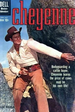 Issue #15