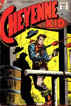 Cover of Issue #15