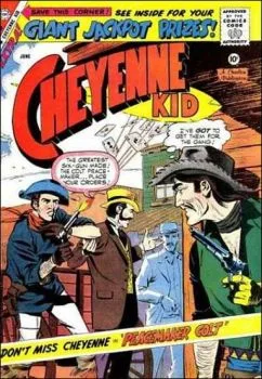Cover of Issue #17