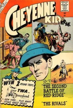 Cover of Issue #22