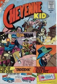 Cover of Issue #25