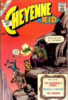 Cover of Issue #35