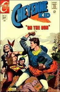 Cover of On The Run