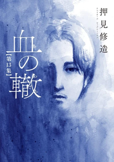 Cover of Volume 13