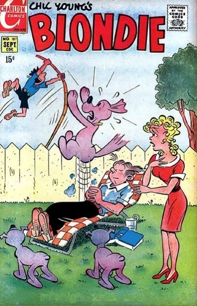 Cover of The Volunteer!