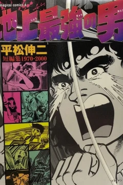 Hiramatsu Shinji Tanpenshū 1970-2000