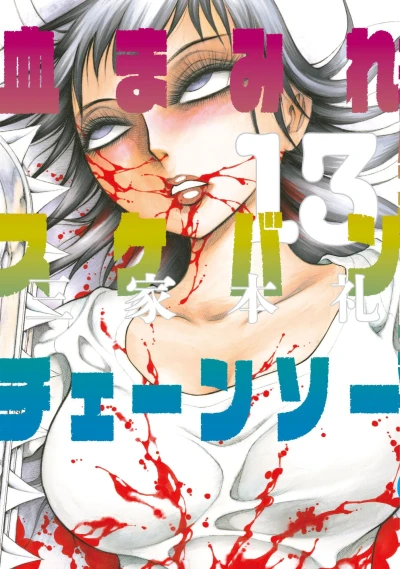 Cover of Vol. 13