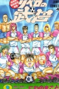 Vol. 9