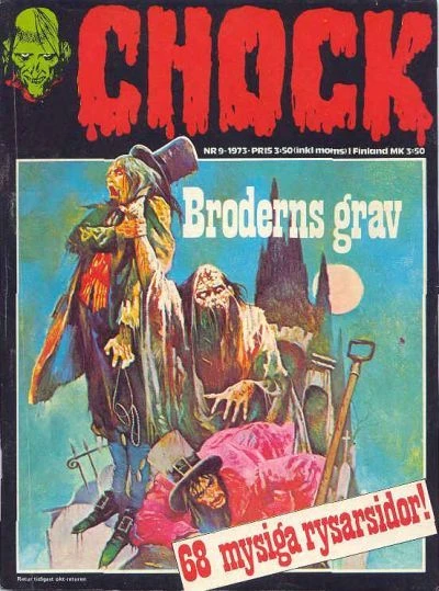 Cover of Broderns grav