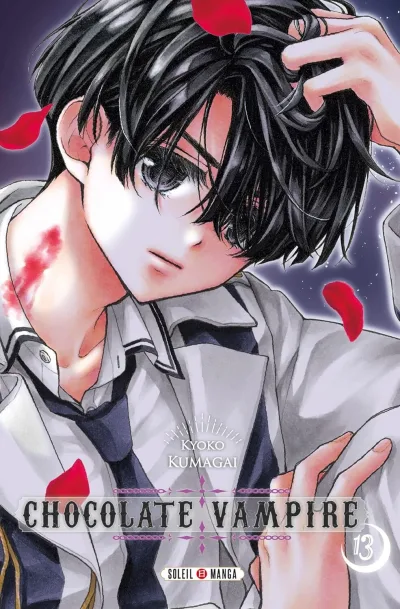 Cover of Volume #13