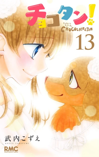 Cover of Vol. 13