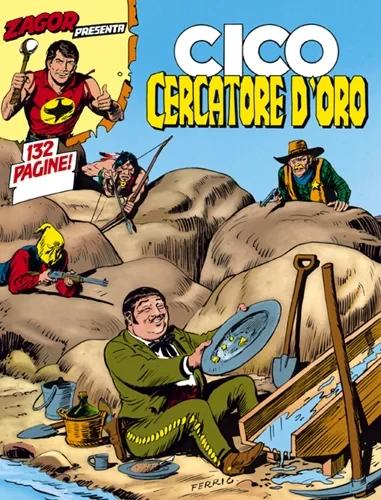 Cover of Cico cercatore d'oro