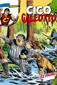 Cico galeotto