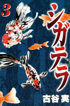 Vol. 3