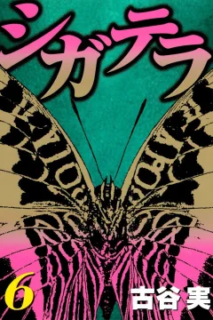 Vol. 6
