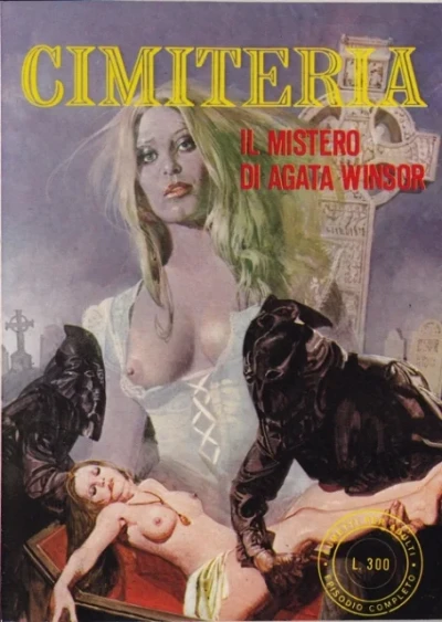 Cover of Il Mistero di Agata Winsor