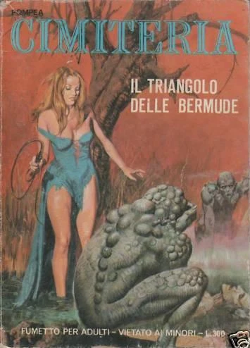 Cover of Il Triangolo delle Bermude